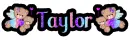 Taylor