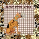 SCOOBY DO