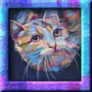 house cat