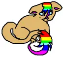 Rainbow cat