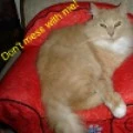 dont mess with me