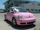 pink bug!!