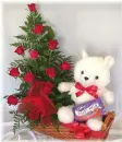 Valentine's Bear