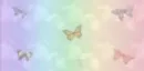 butterflies
