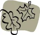 autumn leaves