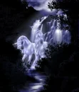 Follow the moonlight