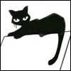 black cat
