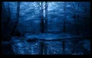 Blue Pond