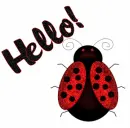Hello