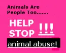 Help Stop Animal Abuse