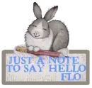 HELLO
