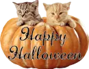 Happy Halloween
