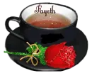 Fayeth