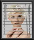 BLINDS