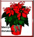 merrychirstmas