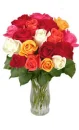 ROSES FOR YOU
