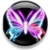 butterfly button