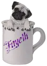Fayeth
