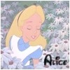 alice