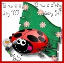Buzzing by to say hi - Tabi