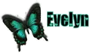 Evelyn