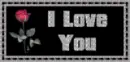 i love you