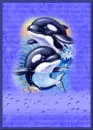 Dolphins