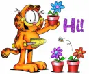 Hi Garfield