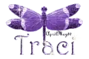 purple dragonfly traci