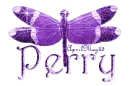 purple dragonfly perry