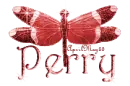 red dragonfly perry