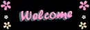 Color Dasies - Banner3