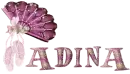 Adina
