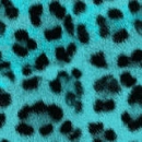 cheeta baby