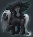 pony