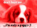 Stop Animal Abuse 