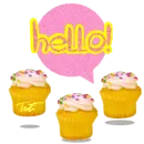 Vanilla Cupcakes Hello