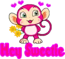 Hey Sweetie