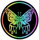 Butterfly hologram