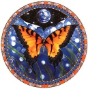 Monarch Moon