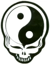Ying Yang Skull
