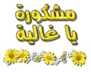 thanks alot sweety _in arabic languge