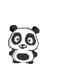 panda hello