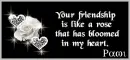 Friendship - Pami - friendship