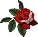 romansi