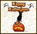 Happy Halloween Cat
