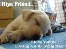 hi friend