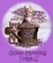 Goodmorning Friend
