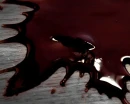 Blood spatter