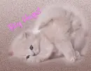 Big Hugs